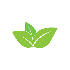 green leaves of the logo