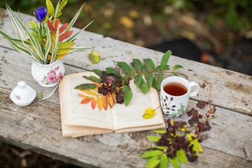 Cup of tea, book, flowers, autumn