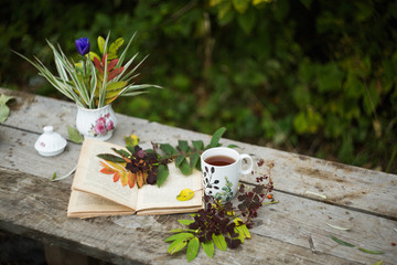 Cup of tea, book, flowers, autumn