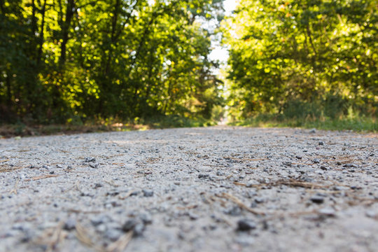 Kieselweg durch einen Wald