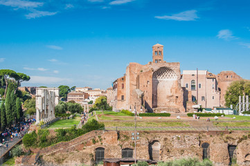 Obraz premium Roman Forum around the Colosseum in Rome Italy