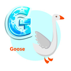 Fototapeta premium Letter G for Goose cartoon alphabet for children