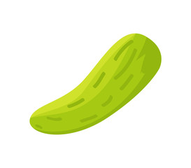Cucumber Preserved Food Icon Vector Illustration