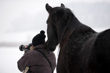 behind the scenes. Schwarzes Pferd blickt in winterlicher Landschaft über die Schulter einer...