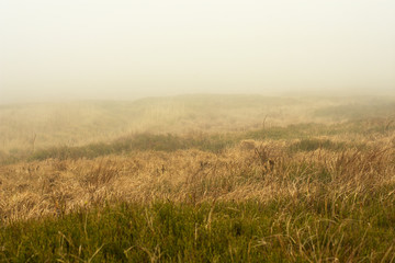 Mountain peaks in the fog and clouds quickly driven away by the wind.  Bieszczady National Park - Poland.