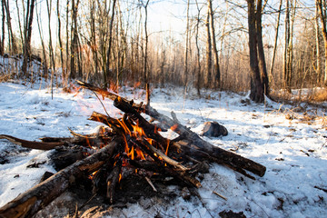 Bonfire at winter in the forest