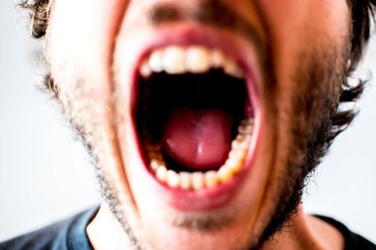 El grito 
