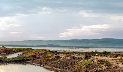 Lake in the jungle of Kenya under a cloudy sky