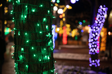 Holiday lights  © EG Images
