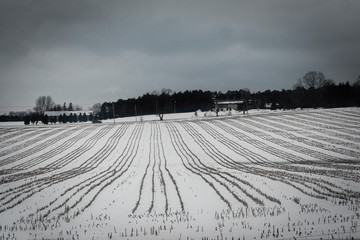 Winter landscape of rural area of Ontario, Canada - snow-covered field with furrows