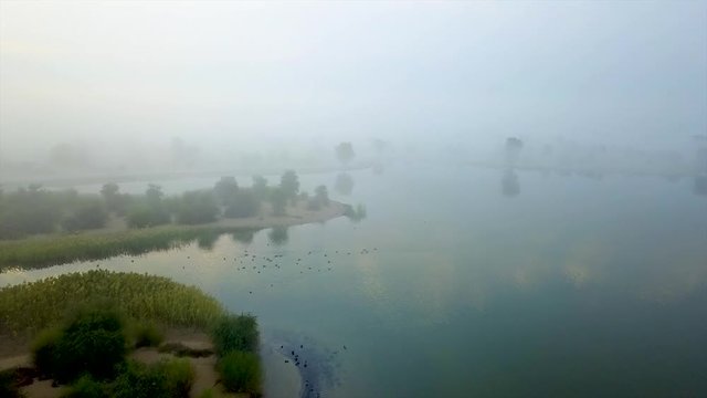 Magical Al Qudra lakes