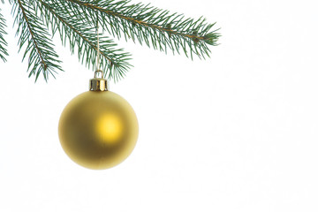 christmas ball on fir branch