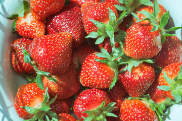 bowl of fresh strawberries