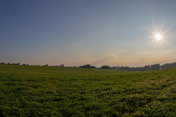 Das Gras ist grün