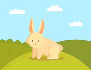 Cute Rabbit on Green Meadow Vector Illustration