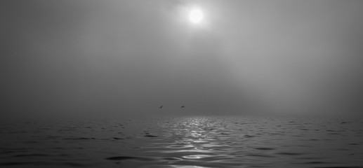 background. ducks fly in the fog. river / sea