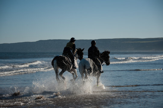 Two horses galloping and splashing in the sea on the beach