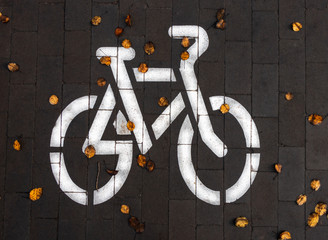 background. white bicycle logo with yellow leaves on a bike path