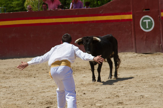 toro parado ante el chico saltador