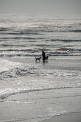 Man and two dogs standing in the sea waves