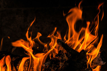 Burning woods with fire flames
