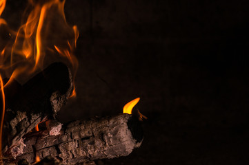 Burning woods with fire flames