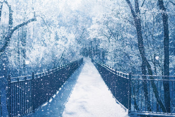 Footbridge and trees while descending a heavy snowfall. Mysterious snowy winter scene in blue and...