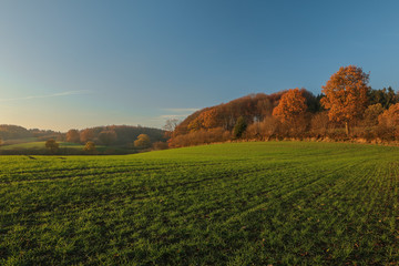 Obraz premium malerische Herbst Landschaft, Konzept Landwirtschaft, Feld, Knick, Herbstlaub