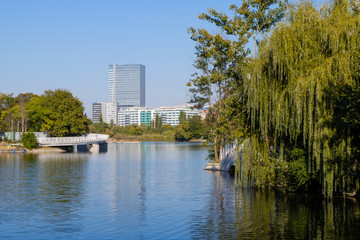 Landscape of Herastrau lake