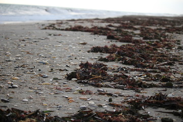 bord de mer en hiver
