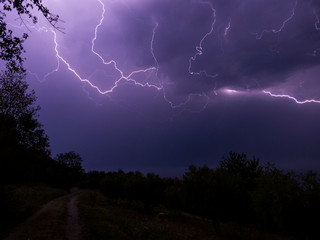 flashes in the night
