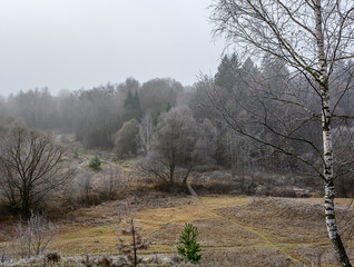 autumn landscape with trees in hoarfrost and a bridge over stream
