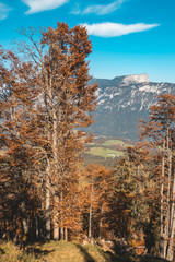 Beautiful alpine autumn view at Hochschwarzeck summit Berchtesgaden-Bavaria-Germany