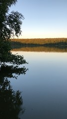 Waldsee in der Ruhe