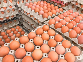 Obraz premium Many fresh egg panel stacked in layers