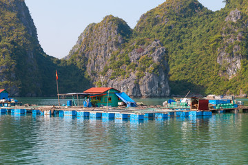 Fototapeta na wymiar Ha Long Bay in Vietnam, one of living platforms with house of local vietnamese people at floating village surrounded by rock islands.