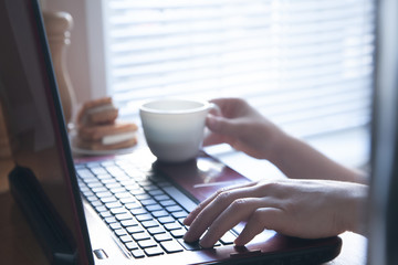 close-up of female hands on a computer keyboard. Internet job concept