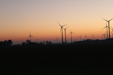 Wind farm in front of autumnal red sunset