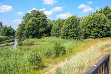 View of a small river from the bridge