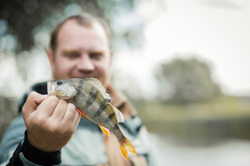 Fishing. Perch in hand on a background of water on a Sunny autumn day.