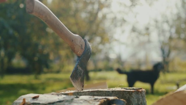 Close up ax and hand man chopping wood outdoors in garden home sunset nature cut countryside male rural tool work iron log power tree energy close up slow motion