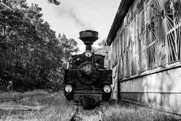 Small Steam Locomotive in the forest, black and white, narrow-gauge railway in the forest