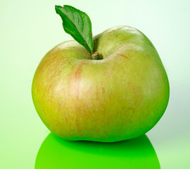 BRAMLEY COOKING APPLE