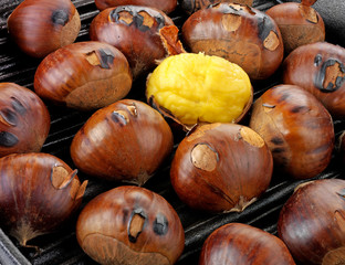 Obraz premium ROASTING CHESTNUTS