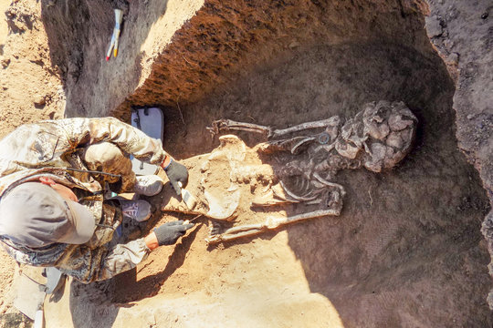 Archaeological excavations.  archaeologist with tools conducts research on human burial, skeleton, skull.