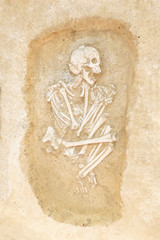 Archaeological excavations man and finds (bones of a skeleton in a human burial),   a detail of ancient research, prehistory.