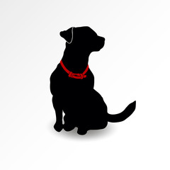 Silhouette of a sitting dog looking up. Jack russell terrier sniffs the air. Vector illustration