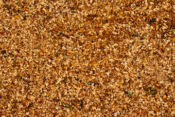 Sawdust apple tree as the original yellow background. Good texture for design.