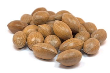 Pekannüsse, Carya illinoinensis, isoliert vor weißem Hintergrund