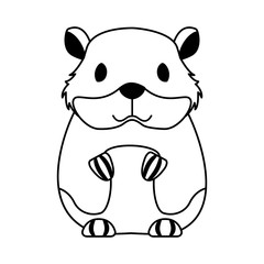 hamster rodent on white background